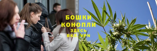 дурь Горно-Алтайск