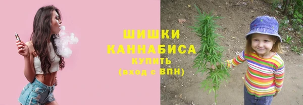дурь Горно-Алтайск