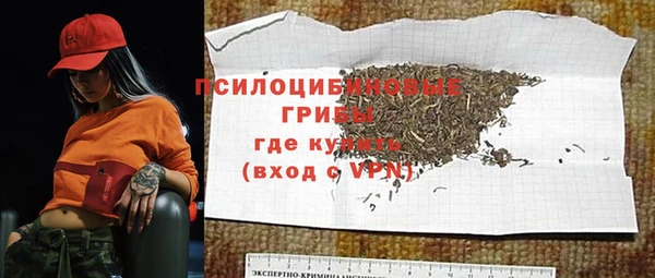 дурь Горно-Алтайск