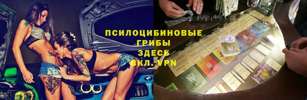 дурь Горно-Алтайск