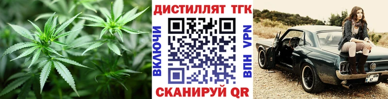 как найти Дальнегорск Дистиллят ТГК Wax
