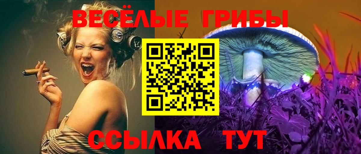 Галлюциногенные грибы Psilocybine cubensis Дальнегорск
